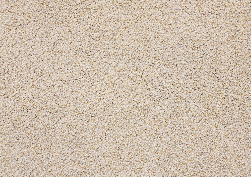a carpet texture