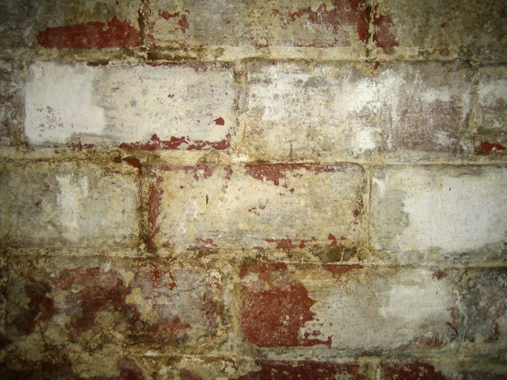 Moisture on the basement wall