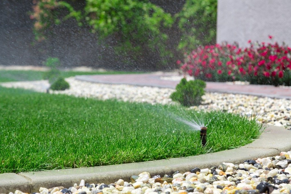 automatic sprinkler watering grass in the yard